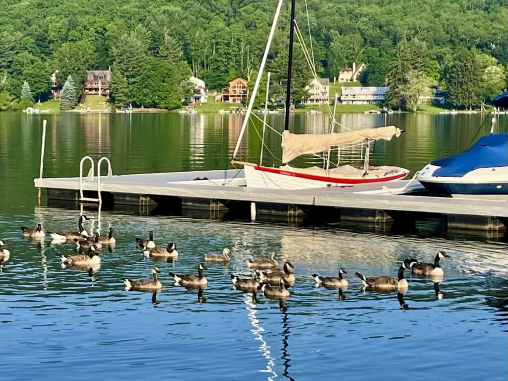 NorseBoat - 2025 NorseBoat 17.5 Classic hull #177